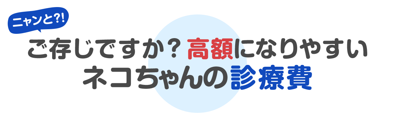 ニャンと！？ご存じですか？高額になりやすいネコちゃんの診療費