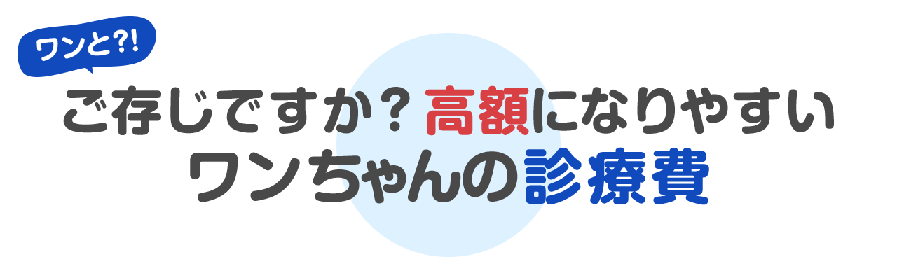 ワンと！？ご存じですか？高額になりやすいワンちゃんの診療費