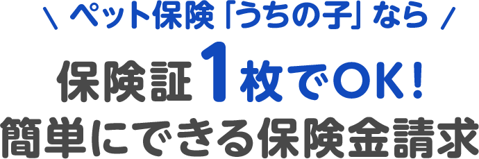 保険証1枚でOK！簡単にできる保険金請求