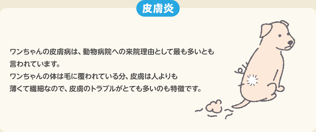 皮膚炎