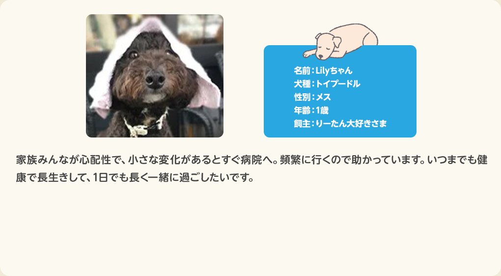 犬のお客さまの声 Lilyちゃん