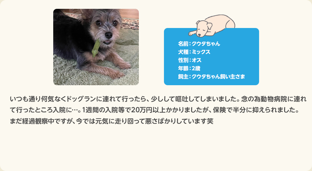 犬のお客さまの声 クウタちゃん