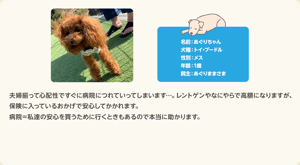 犬のお客さまの声 あぐりちゃん